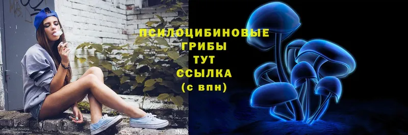 Псилоцибиновые грибы Magic Shrooms  как найти закладки  Галич 